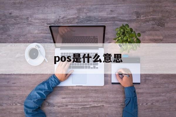 pos是什么意思:(个人pos刷自己信用卡)