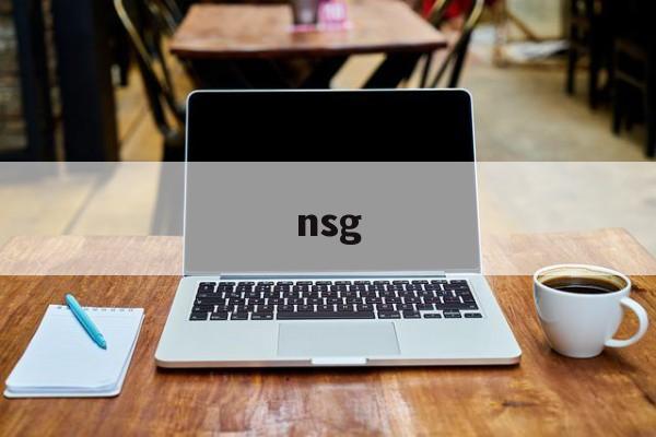 nsg:(网络nsg是什么意思)