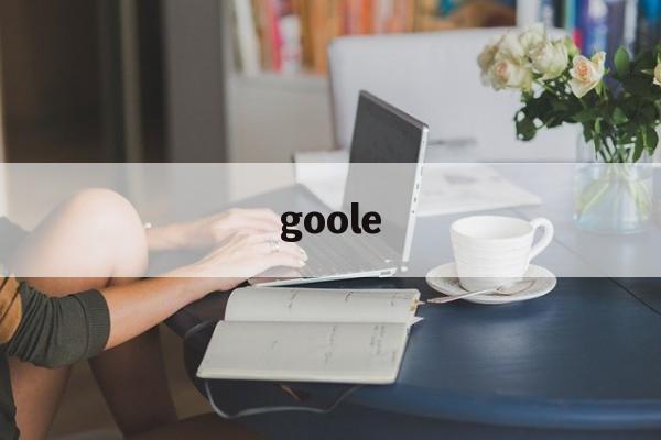 goole:(google浏览器)