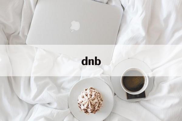 dnb:(DNB代表什么意思)