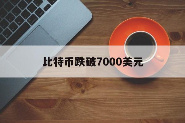 比特币跌破7000美元:(我在14年买了1000个比特币)