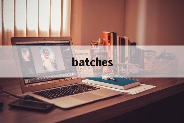 batches:(barge是什么意思啊)